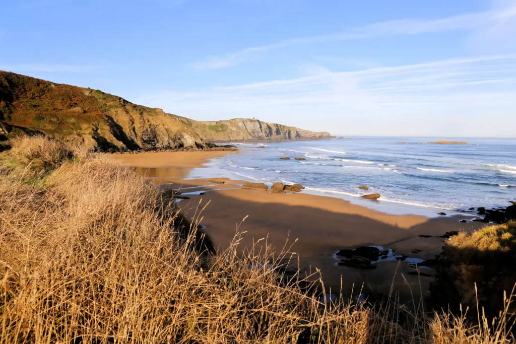 Playa de Carniciega 4