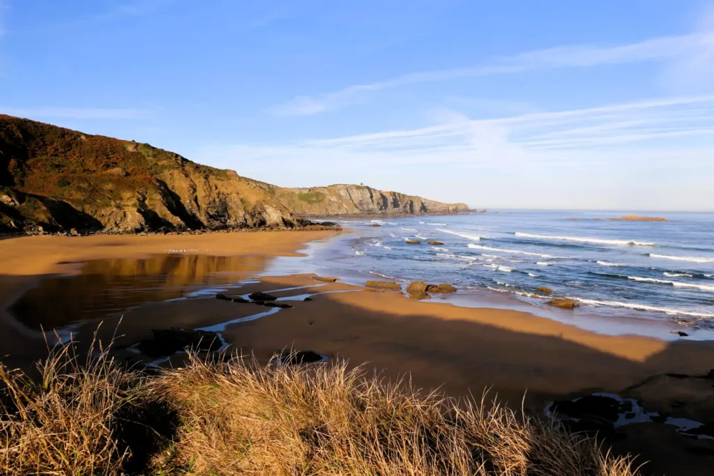 Playa de Carniciega 5