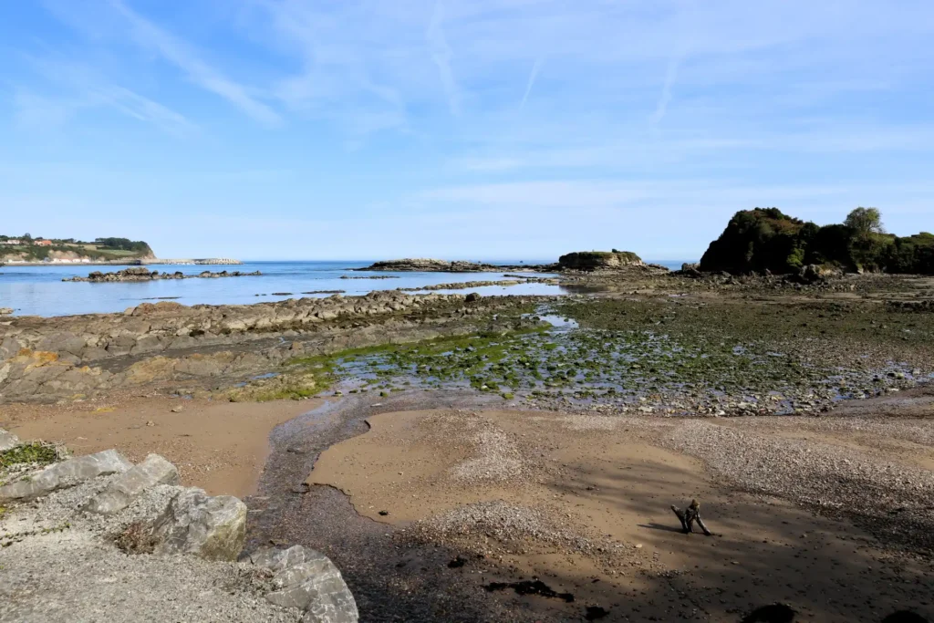 Playa-del-Aramar-4