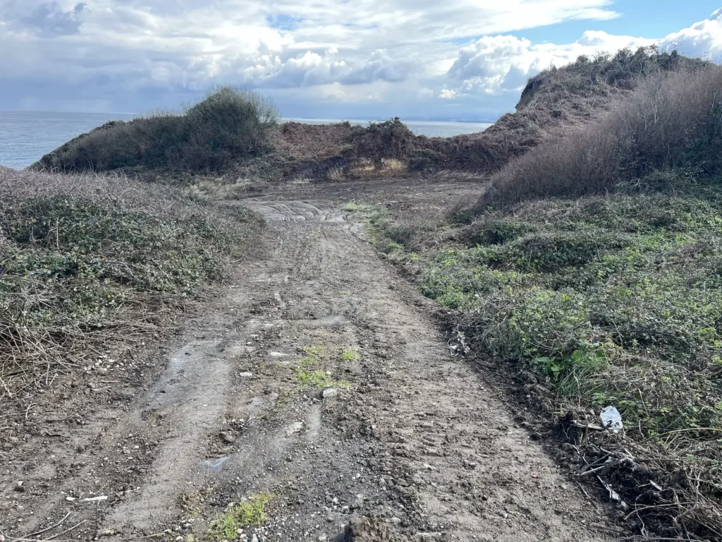 Demolición La Mofosa