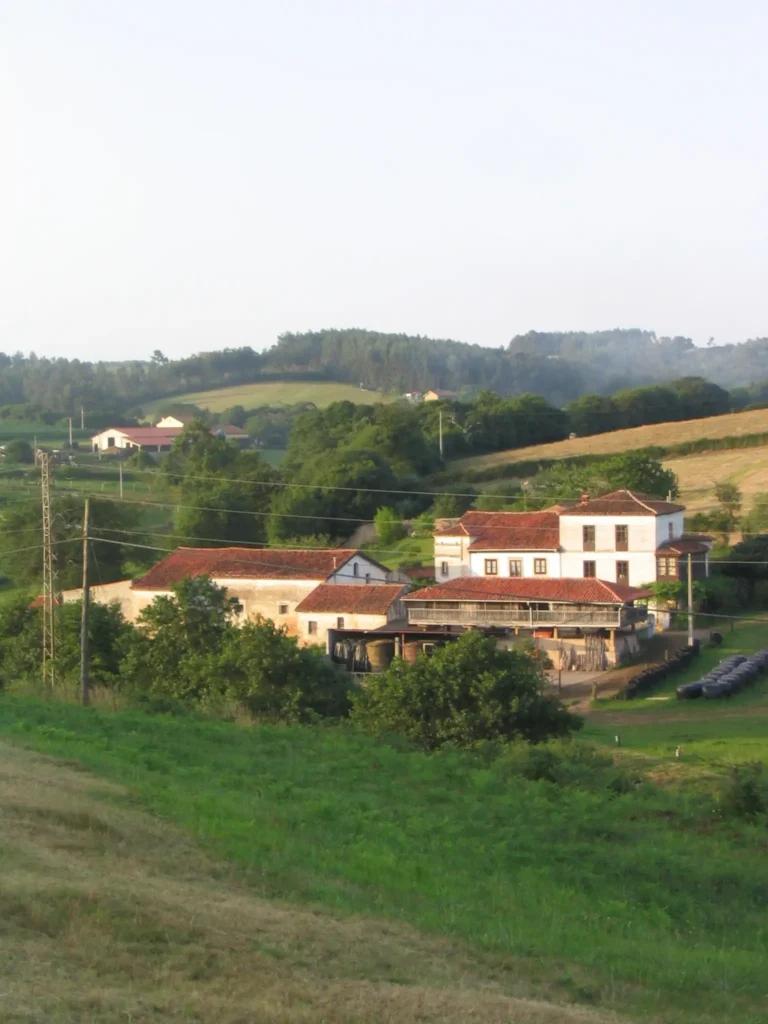 Vioño 1