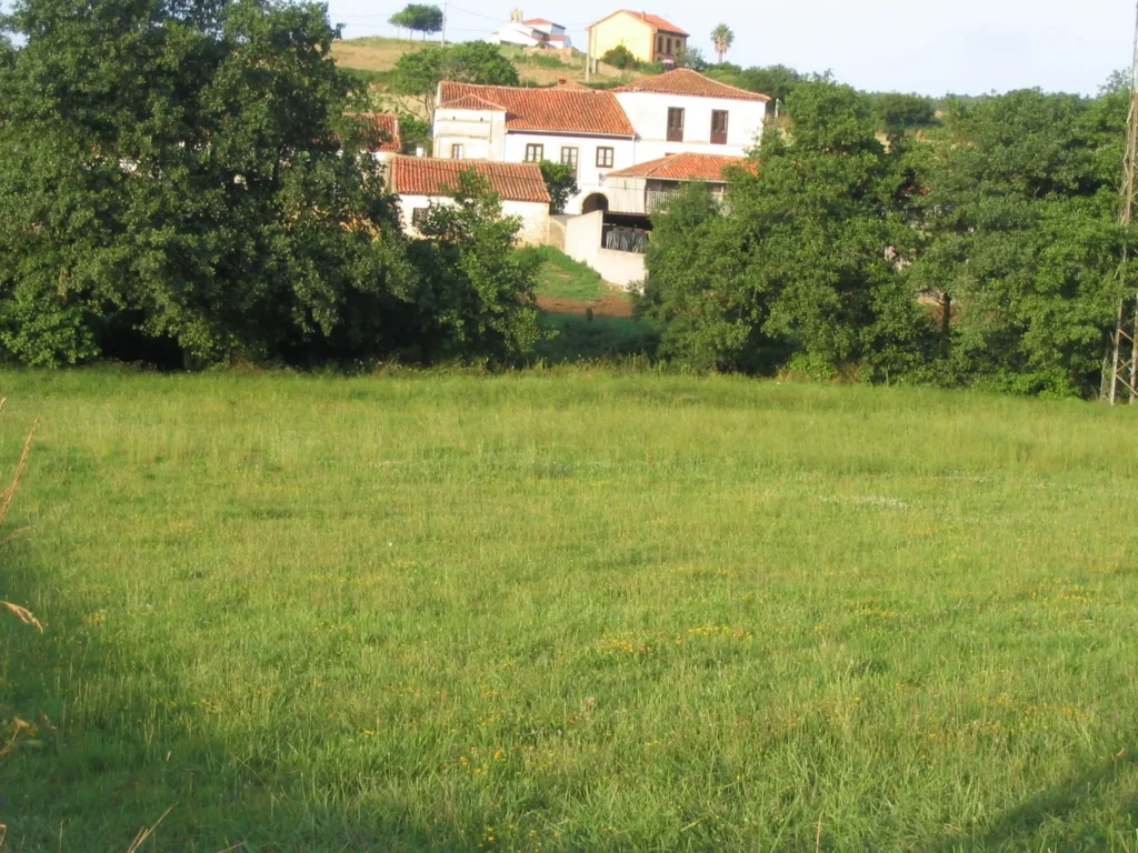 Vioño 2