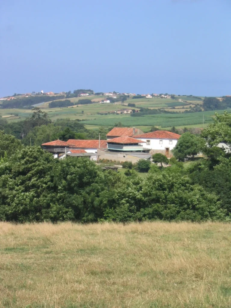 Vioño 6