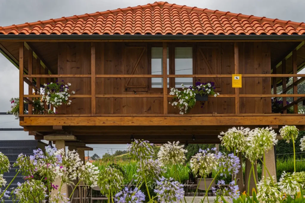 Apartamentos Valle de Irola